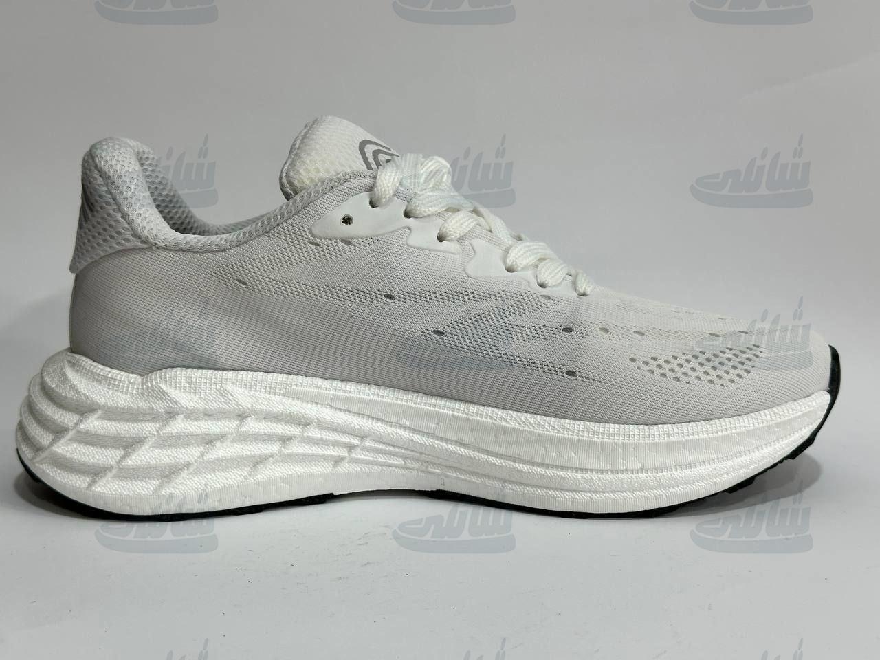 photo_5886595692892376201_y