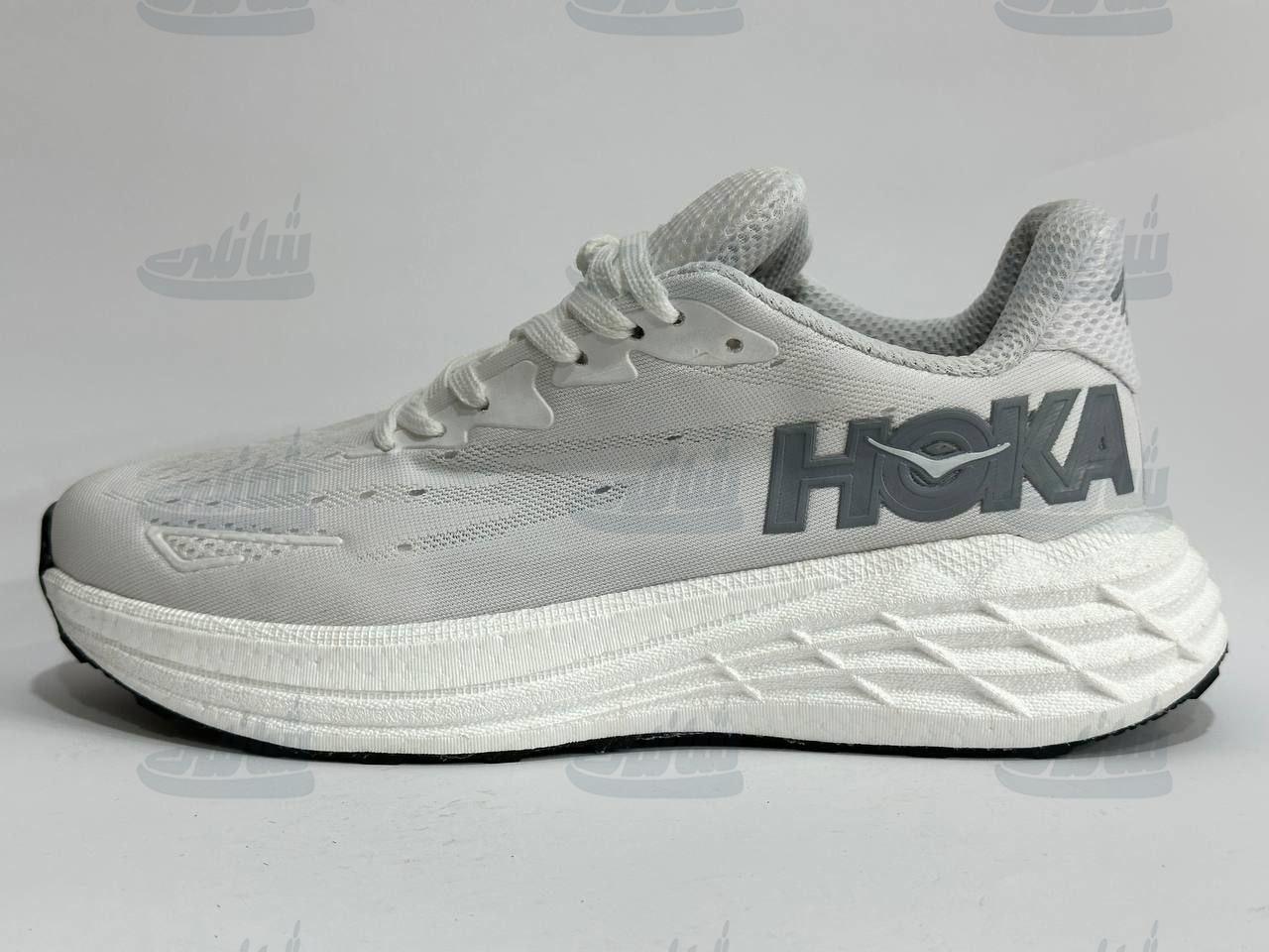 photo_5886595692892376204_y