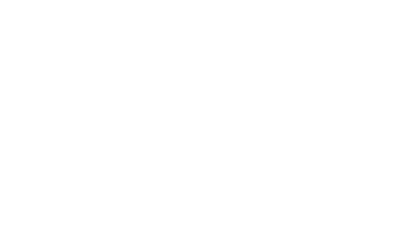 شانلی شاپ